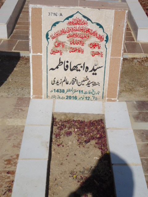 13716 – Syeda Abiha Fatima