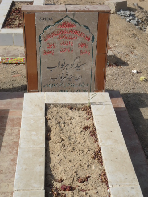 13319 – Syed Gohar Nawab