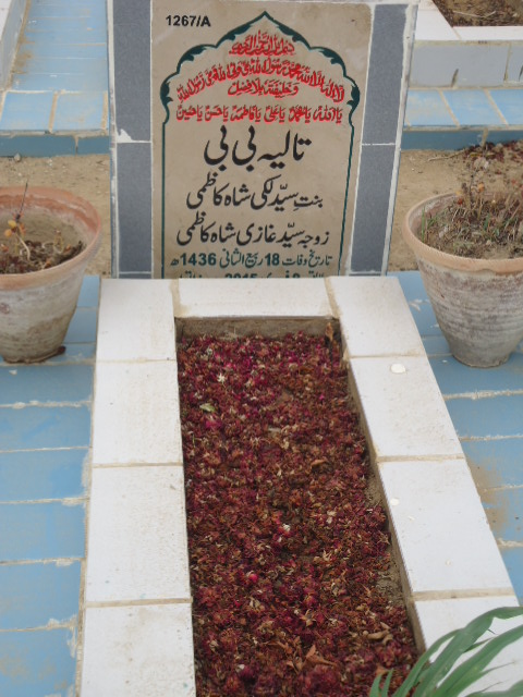 11267 – Taliya Bibi
