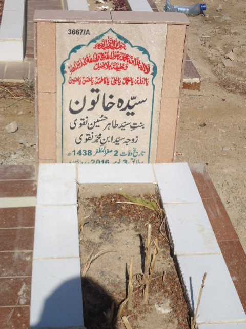 13667 – Syeda Khatoon