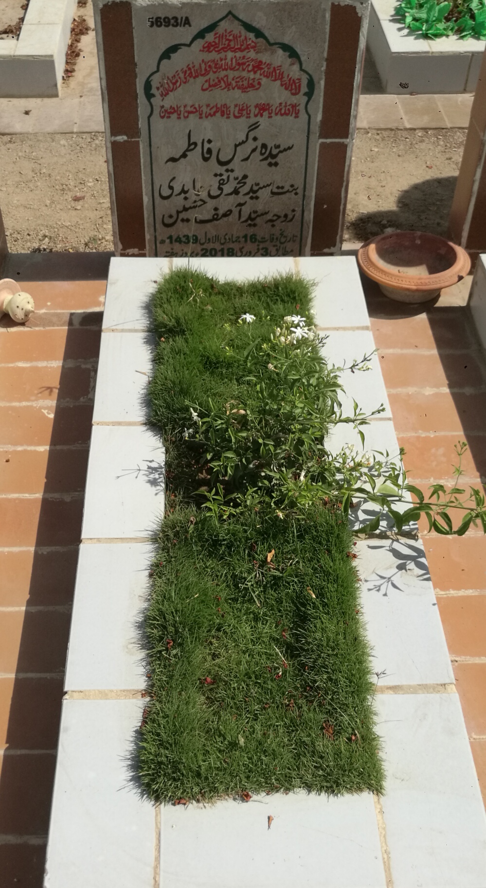 15693 – Syeda Nargis Fatima