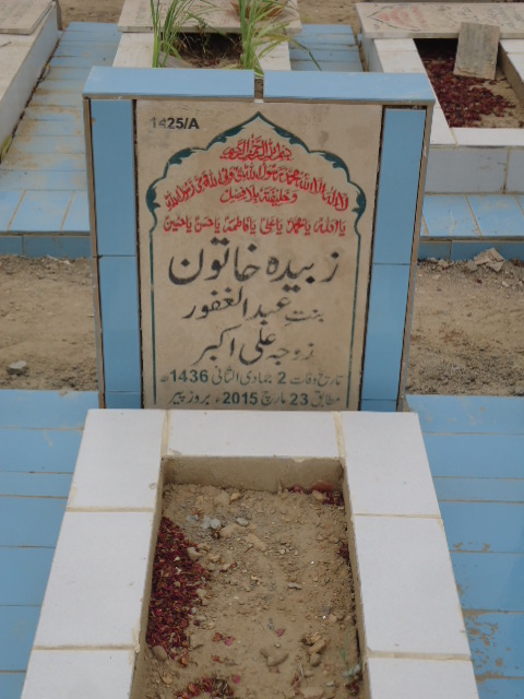 11425 – Zubaida Khatoon