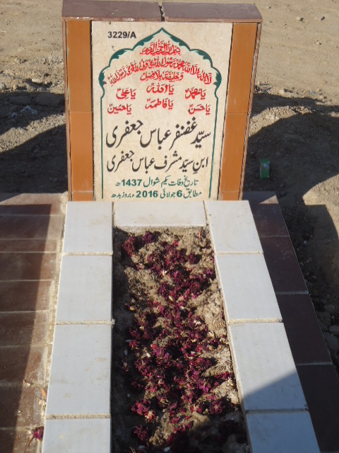 13229 – Syed Ghazanfar Abbas Jaffery