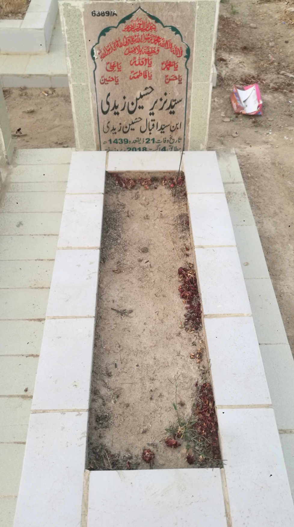 16389 – Syed Nazeer Hussain Zaidi