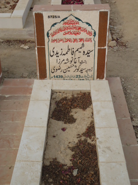 15725 – Syeda Shamim Fatima Zaidi