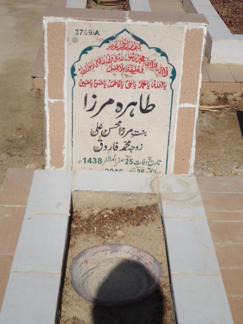 13769 – Tahira Mirza