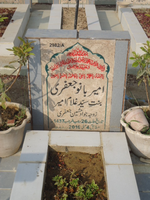 12982 – Ameer Bano Jaffery