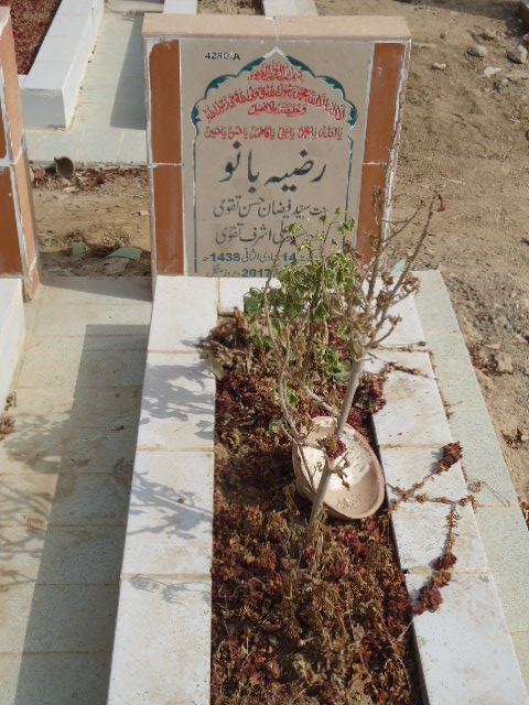 14280 – Razia Bano
