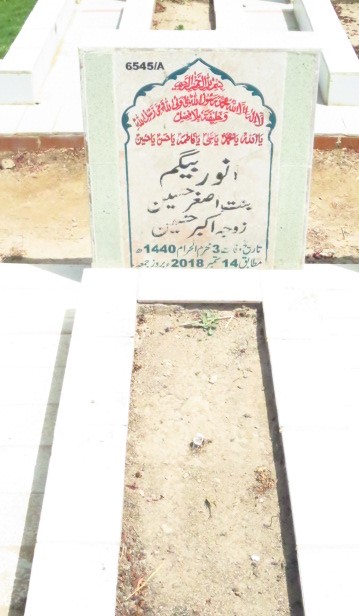 16545 – Anwar Begum