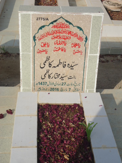 12775 – Syeda Fatima Kazmi