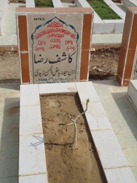 14474 – Kashif Raza