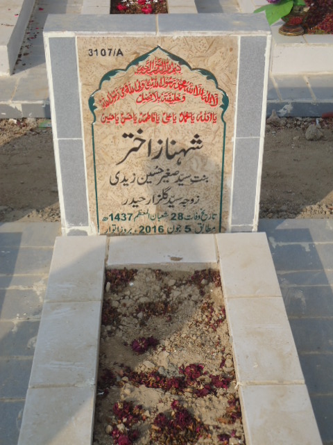 13107 – Shenaz Akhtar