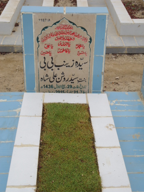 11187 – Syeda Zainab Bibi