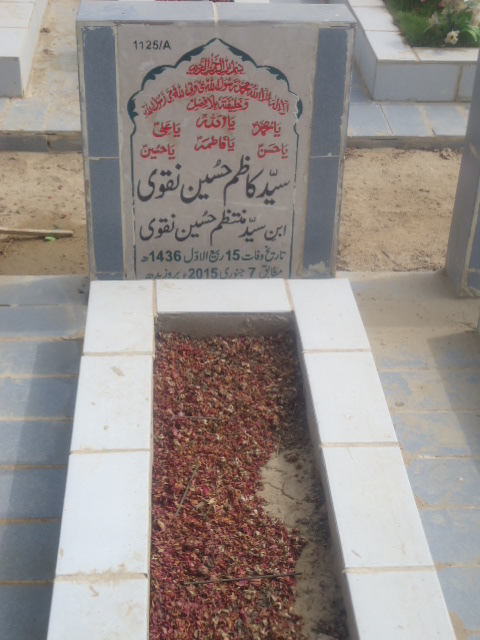 11125 – Syed Kazim Hussain Naqvi
