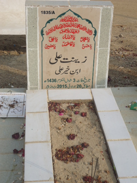 11835 – Zeenat Ali