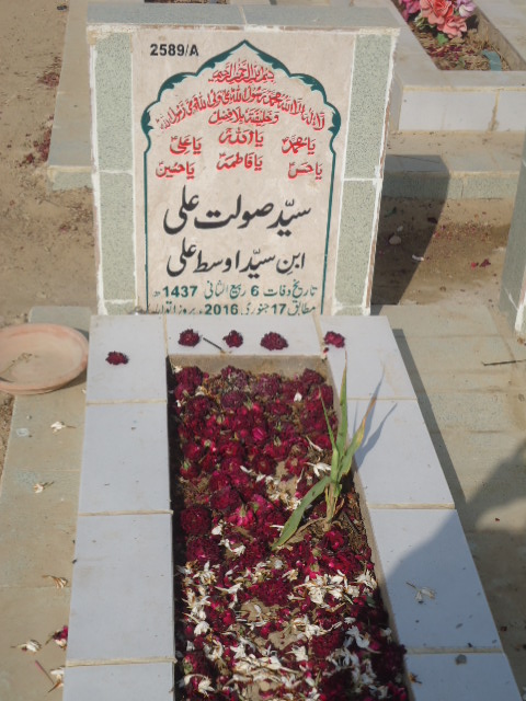 12589 – Syed Saulat Ali