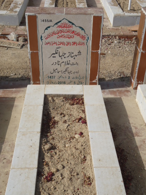 13455 – Shenaz Jahangir