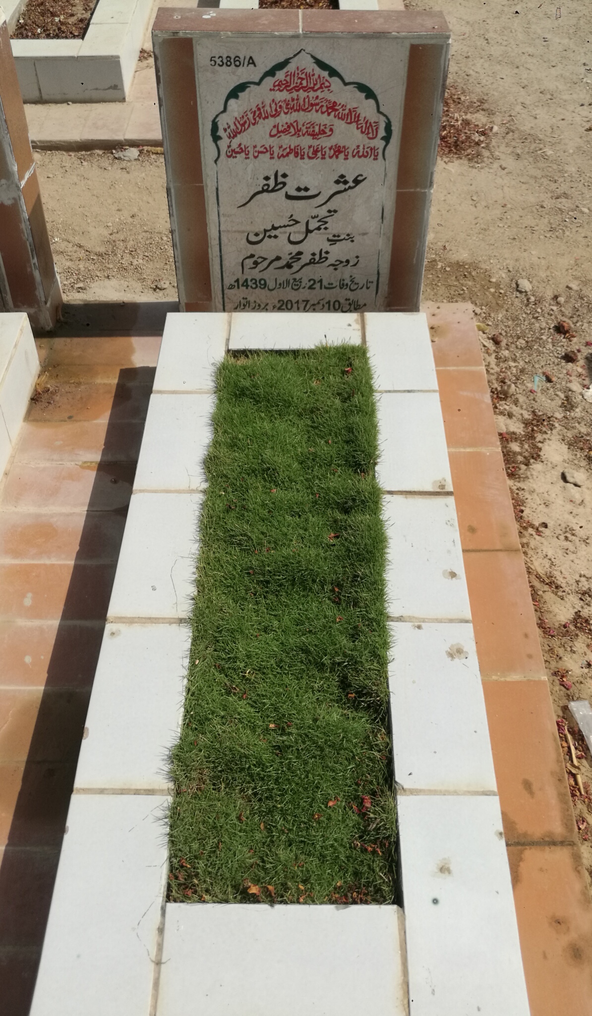 15386 – Ishrat Zafar