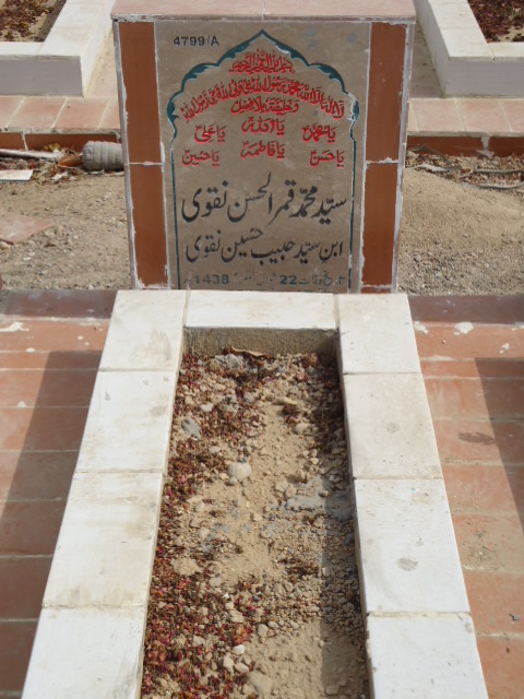 14799 – Syed Muhammad Qamar Ul Hassan Naqvi