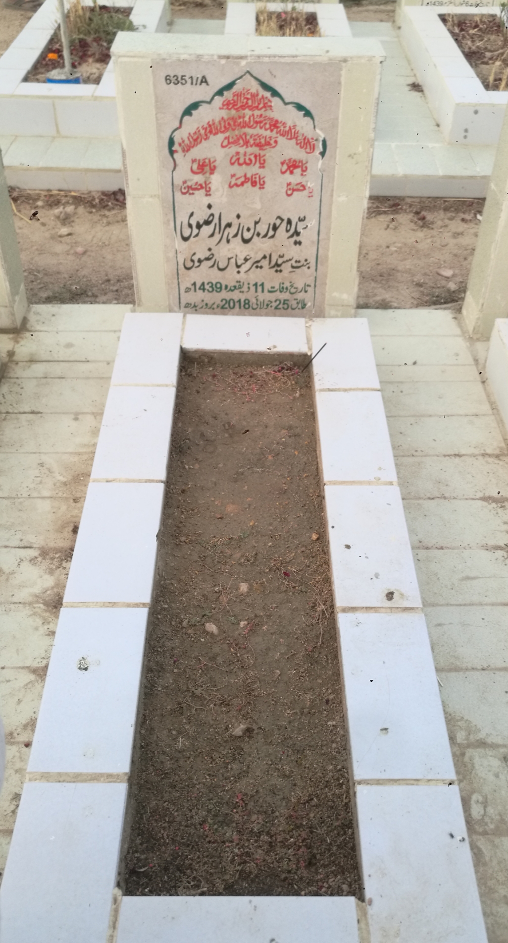 16351 – Syeda Hoor Bin Zehra Rizvi