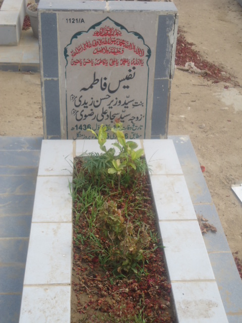 11121 – Nafees Fatima