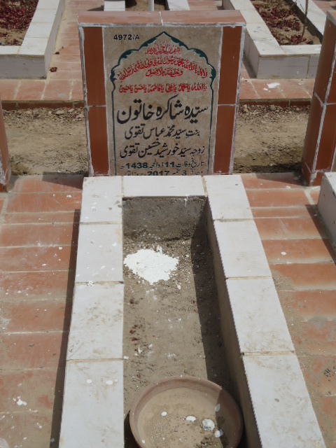 14972 – Syeda Shakira Khatoon