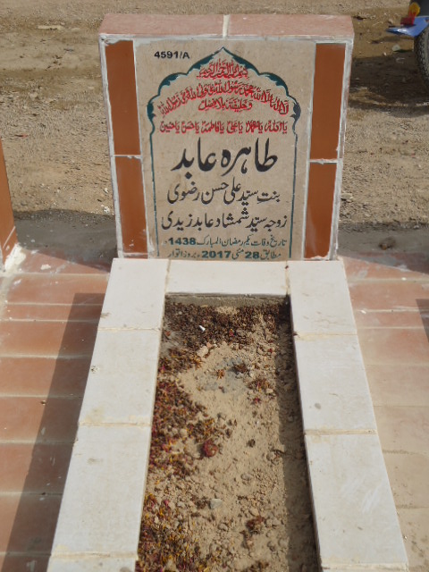 14591 – Tahira Abid