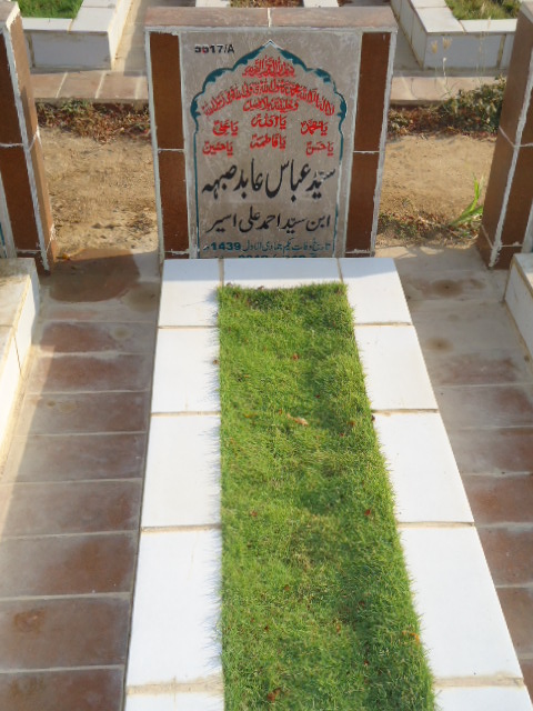 15617 – Syed Abbas Abid Sabha