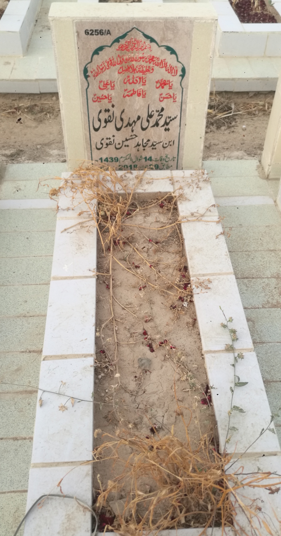 16256 – Syed Muhammad Ali Mehdi Naqvi