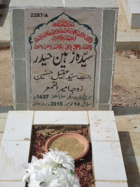 12287 – Syeda Zaheen Haider