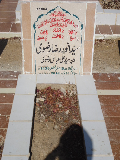 13730 – Syed Anwar Raza Rizvi