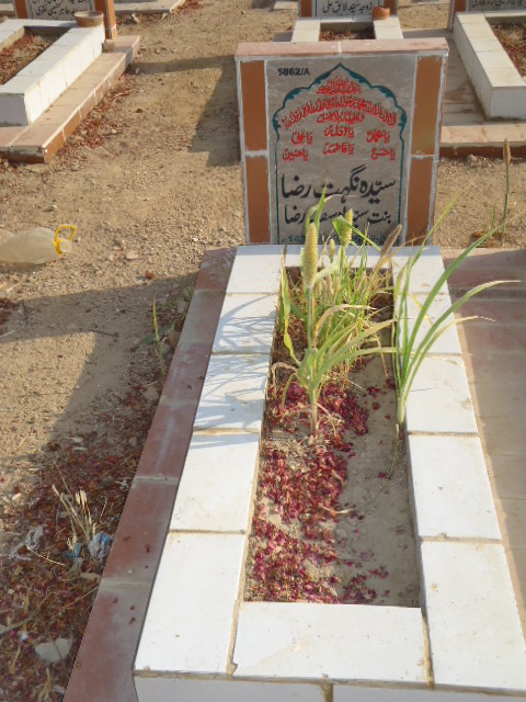 15862 – Syeda Nighat Raza