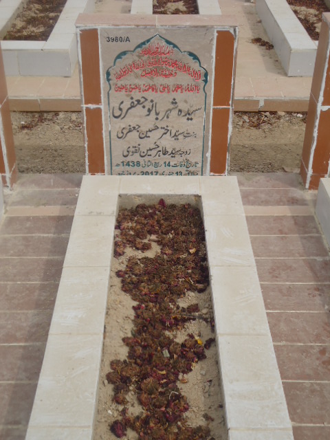 13980 – Syeda Sheharbano Jaffery