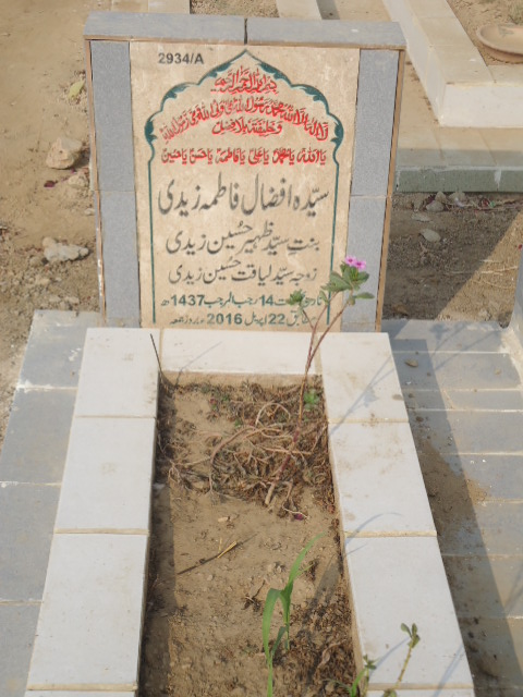 12934 – Syeda Afzaal Fatima Zaidi