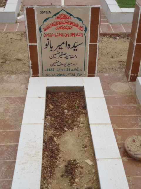 13516 – Syeda Ameer Bano