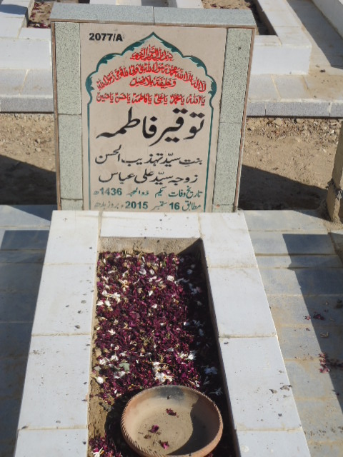 12077 – Touqeer Fatima