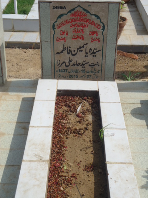 12486 – Syeda Yasmeen Fatima