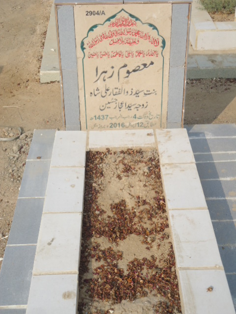 12904 – Masoom Zehra