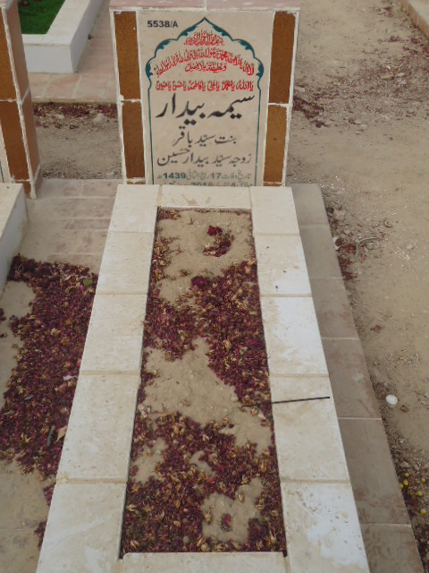 15538 – Seema Bedaar