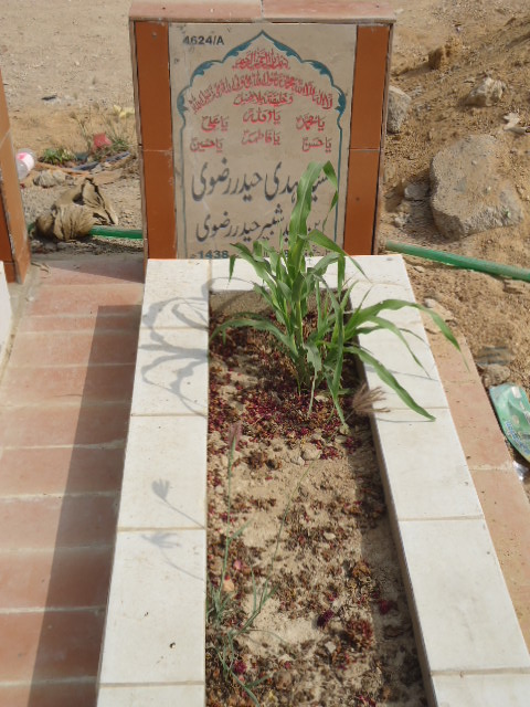 14623 – Waseema Jaffery