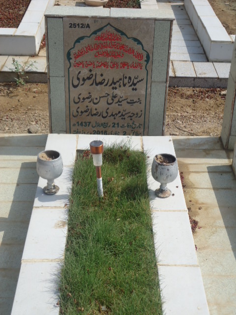 12512 – Syeda Naheed Raza Rizvi