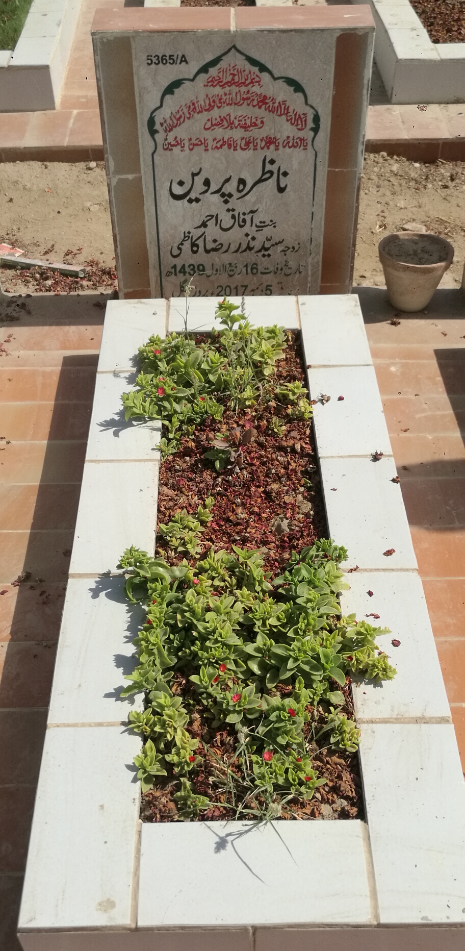 15365 – Nazira Parveen