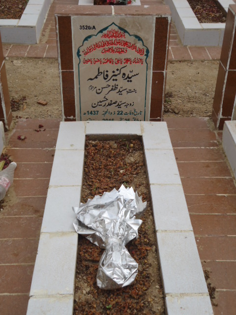 13520 – Syeda Kaneez Fatima