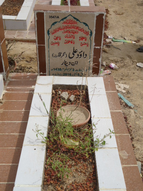 13547 – Dawood Ali