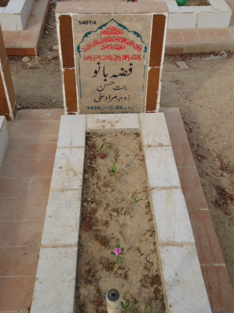 15407 – Fizza Bano