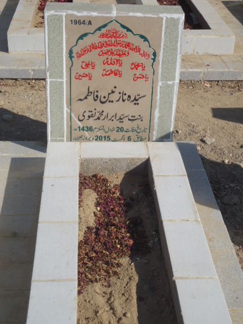 11964 – Syeda Nazneen Fatima