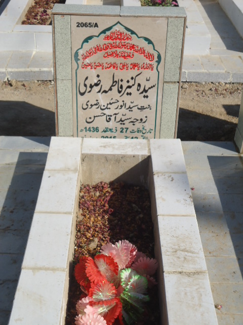 12065 – Syeda Kaneez Fatima Rizvi