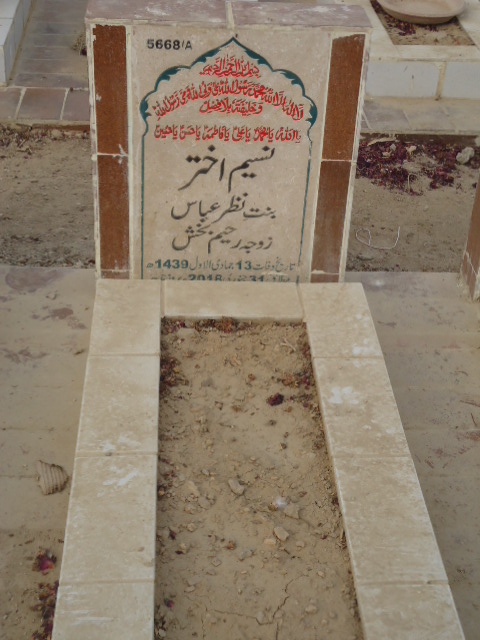 15668 – Naseem Akhtar