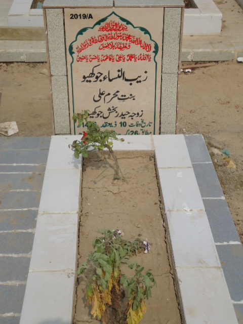 12019 – Zaib Un Nisa