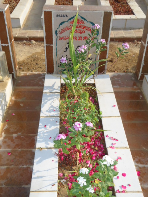 15646 – Gohar Bano